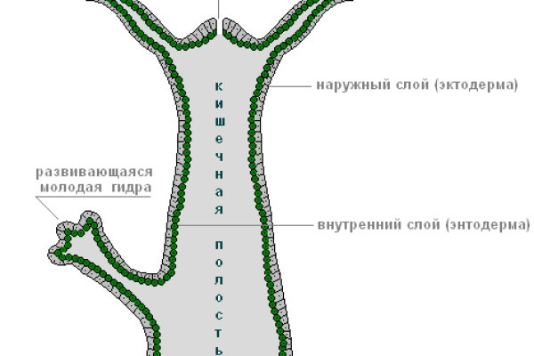 Адрес кракен в тор