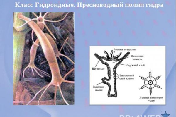 Блэкспрут онион рабочее
