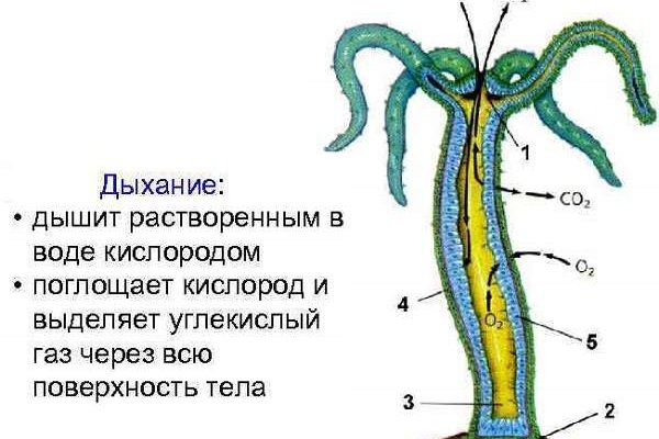 Kra14.at