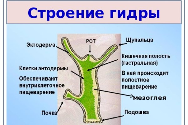 Настоящий сайт kraken