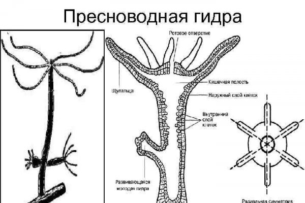 Кракен ссылка на сайт тор