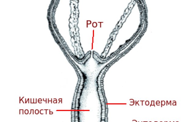 Кракен зон