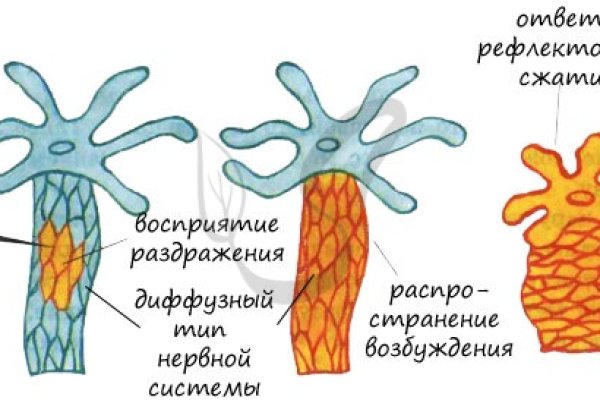 Kraken наркотики сайт